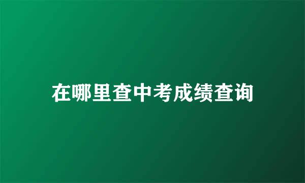 在哪里查中考成绩查询