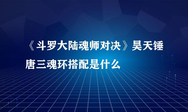 《斗罗大陆魂师对决》昊天锤唐三魂环搭配是什么