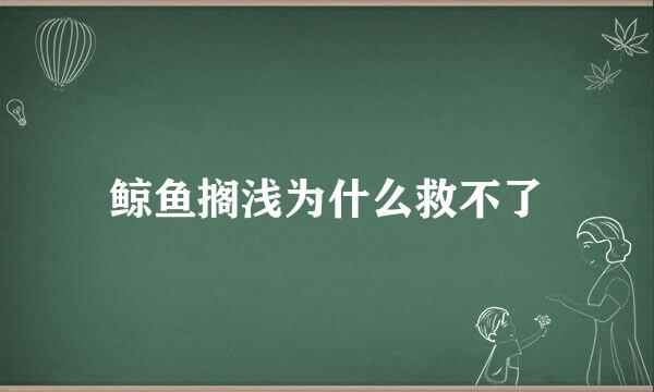 鲸鱼搁浅为什么救不了