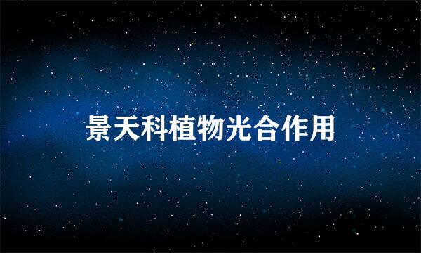 景天科植物光合作用