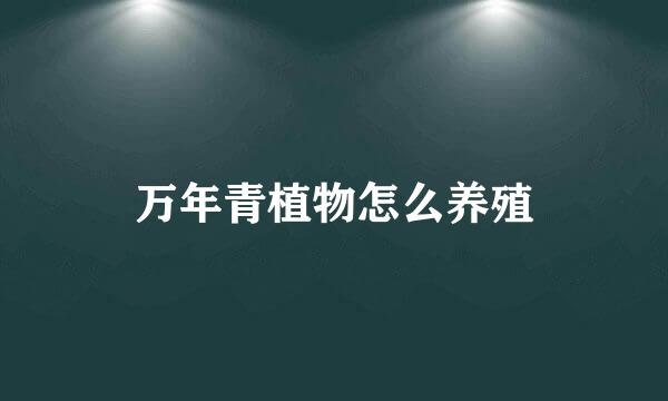 万年青植物怎么养殖