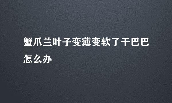 蟹爪兰叶子变薄变软了干巴巴怎么办