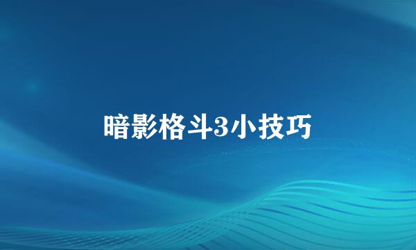 暗影格斗3小技巧
