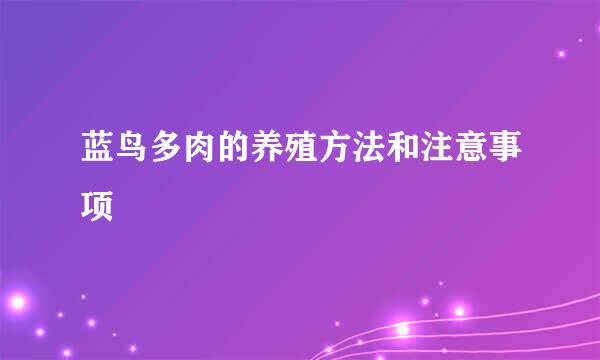 蓝鸟多肉的养殖方法和注意事项