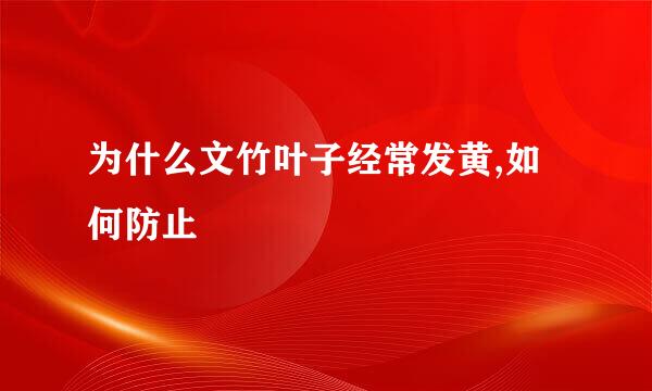 为什么文竹叶子经常发黄,如何防止