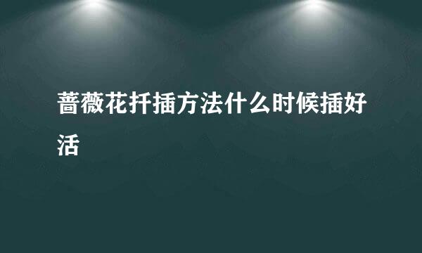 蔷薇花扦插方法什么时候插好活