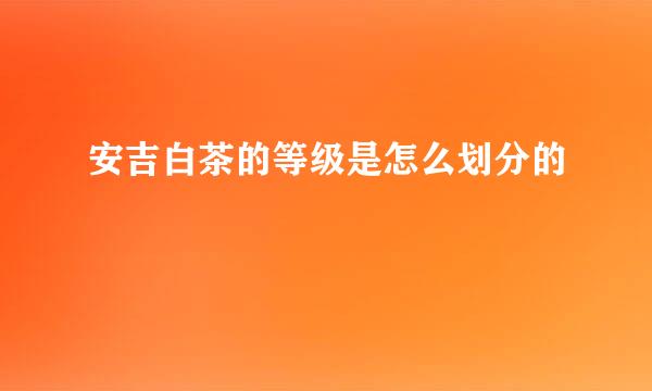 安吉白茶的等级是怎么划分的