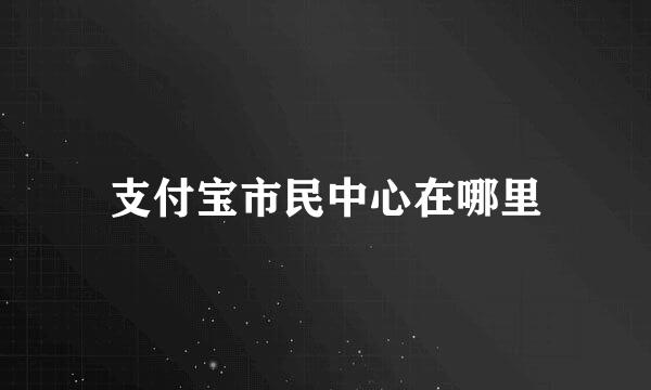 支付宝市民中心在哪里