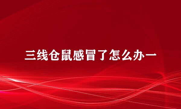 三线仓鼠感冒了怎么办一