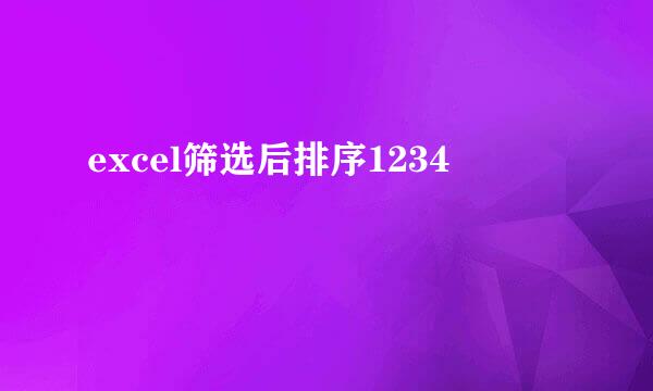 excel筛选后排序1234