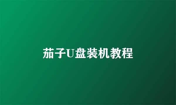 茄子U盘装机教程