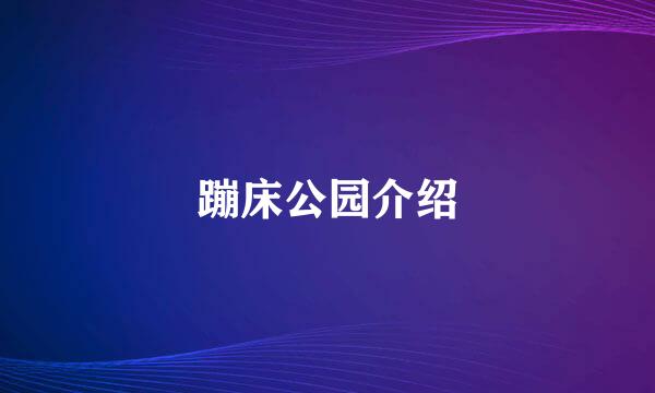 蹦床公园介绍