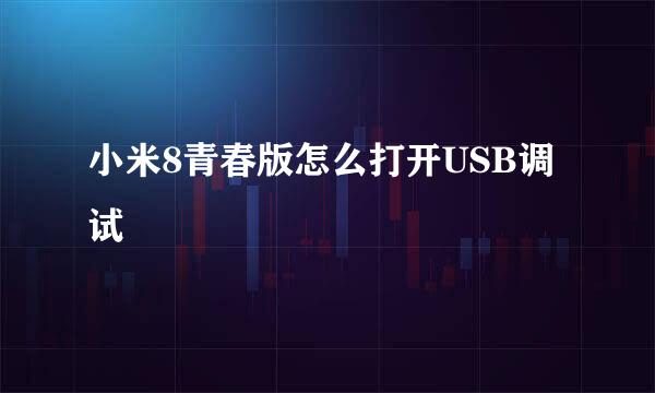 小米8青春版怎么打开USB调试