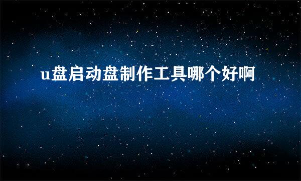 u盘启动盘制作工具哪个好啊
