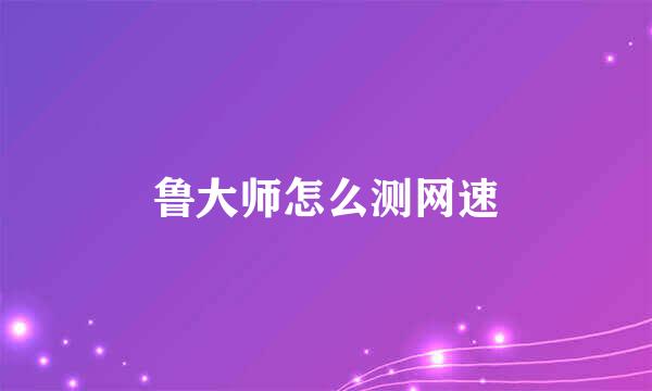 鲁大师怎么测网速