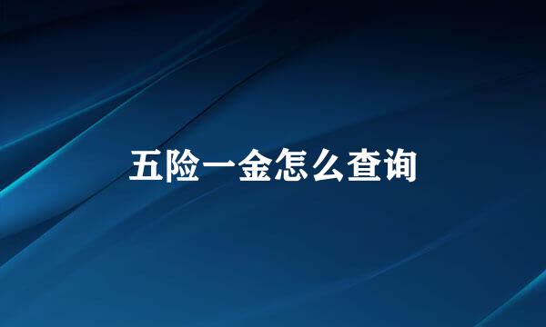 五险一金怎么查询
