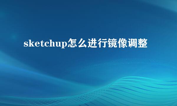 sketchup怎么进行镜像调整