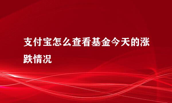 支付宝怎么查看基金今天的涨跌情况