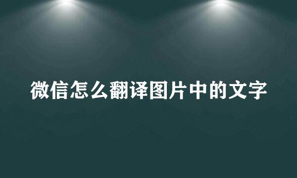 微信怎么翻译图片中的文字