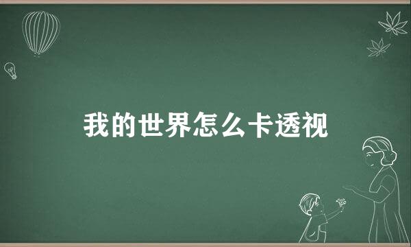 我的世界怎么卡透视