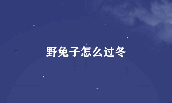 野兔子怎么过冬