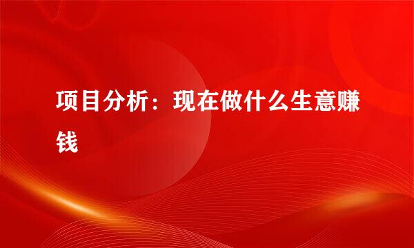 项目分析：现在做什么生意赚钱