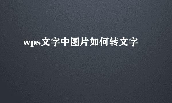 wps文字中图片如何转文字