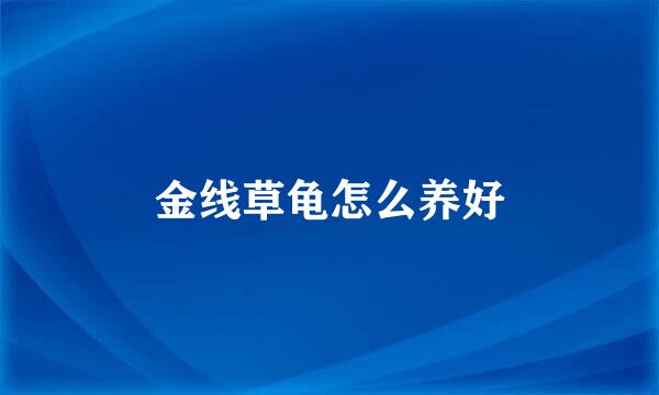 金线草龟怎么养好