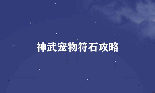 神武宠物符石攻略