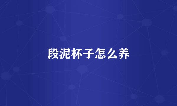 段泥杯子怎么养