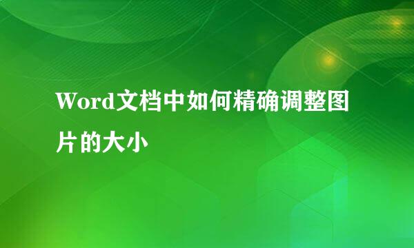 Word文档中如何精确调整图片的大小