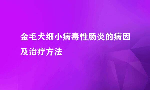 金毛犬细小病毒性肠炎的病因及治疗方法