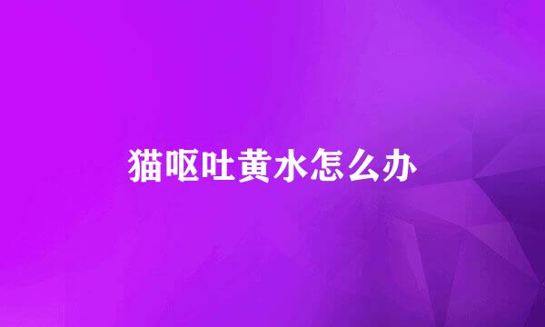 猫呕吐黄水怎么办