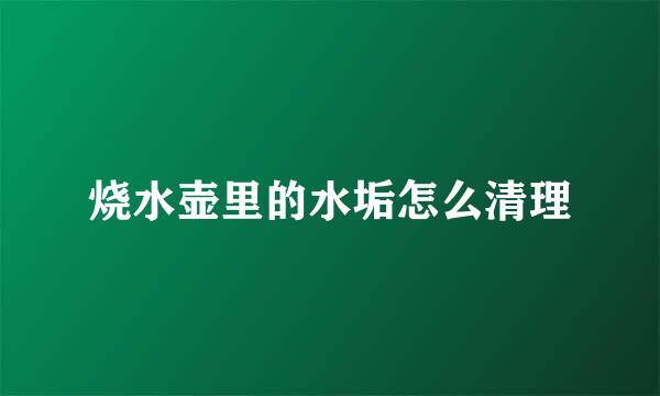 烧水壶里的水垢怎么清理