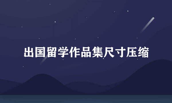 出国留学作品集尺寸压缩