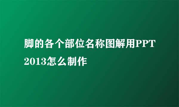 脚的各个部位名称图解用PPT2013怎么制作