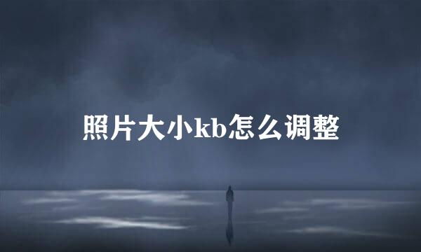 照片大小kb怎么调整