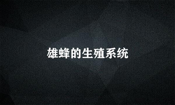 雄蜂的生殖系统