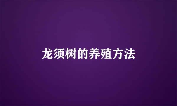 龙须树的养殖方法