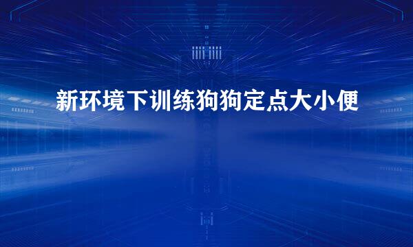 新环境下训练狗狗定点大小便
