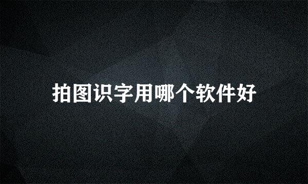 拍图识字用哪个软件好