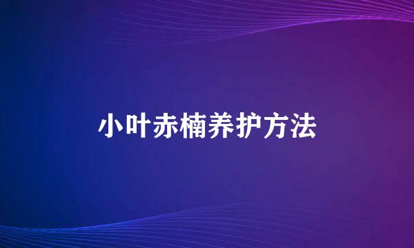 小叶赤楠养护方法