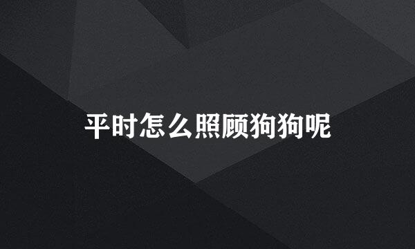 平时怎么照顾狗狗呢