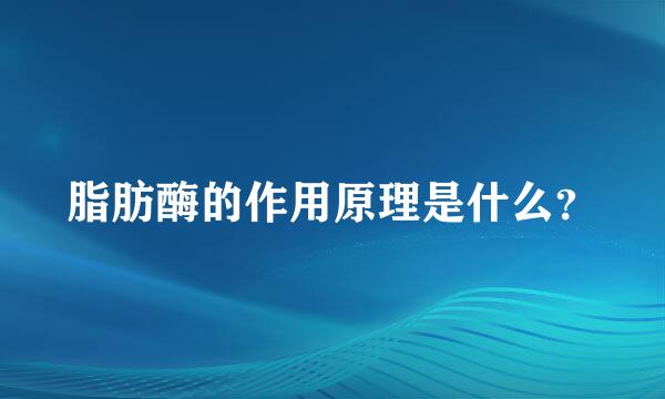 脂肪酶的作用原理是什么？