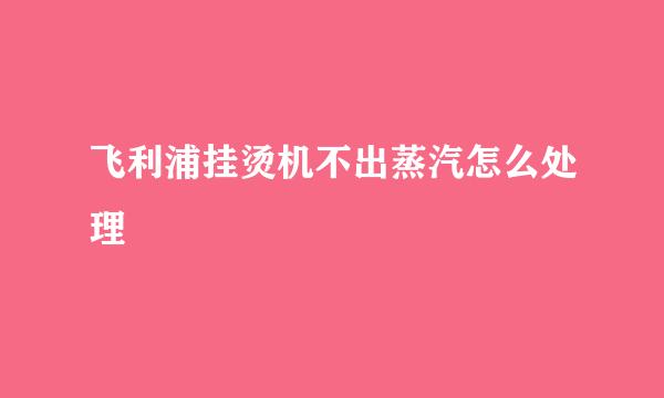 飞利浦挂烫机不出蒸汽怎么处理