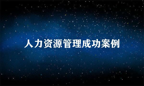 人力资源管理成功案例
