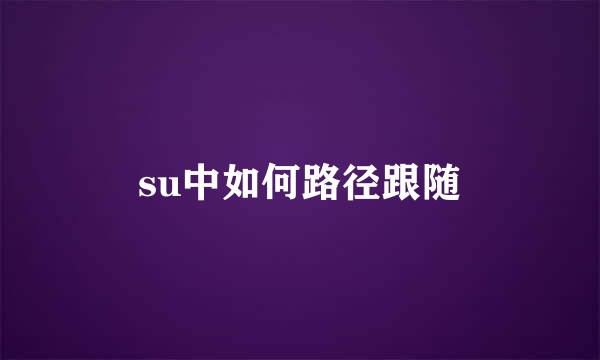 su中如何路径跟随