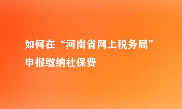 如何在“河南省网上税务局”申报缴纳社保费