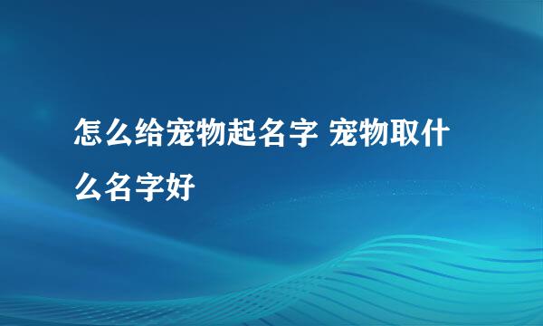 怎么给宠物起名字 宠物取什么名字好