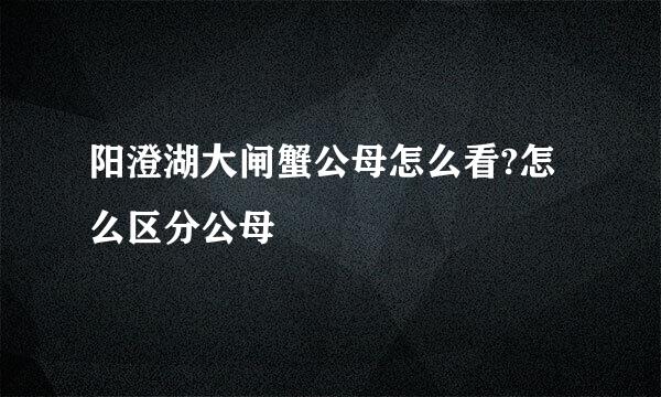 阳澄湖大闸蟹公母怎么看?怎么区分公母